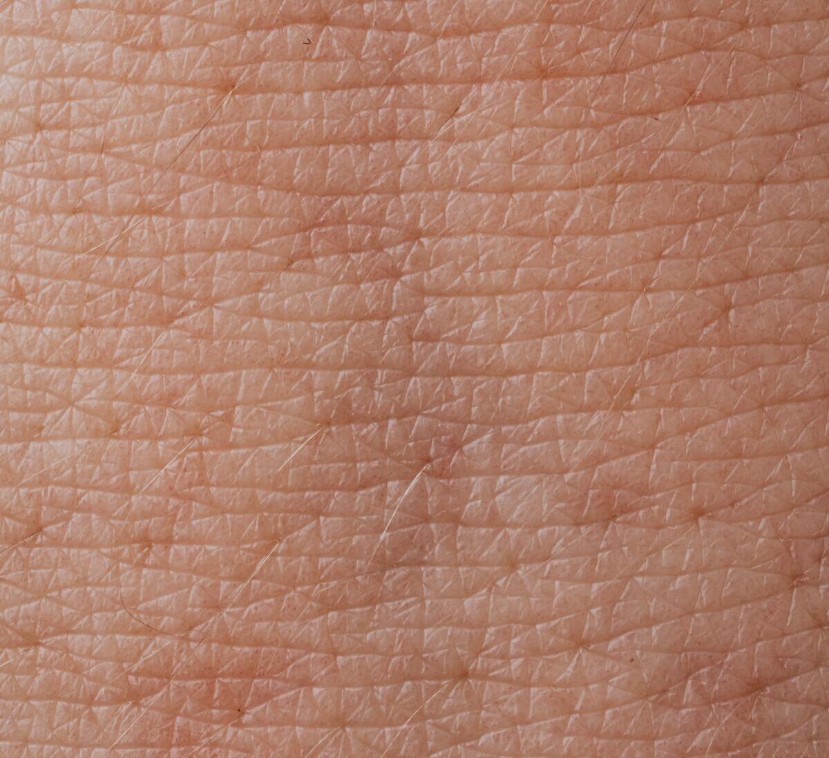 Que savez-vous de la barrière cutanée ? Votre barrière cutanée est-elle endommagée ? Comprenez comment aider votre peau en supportant votre barrière cutanée. 